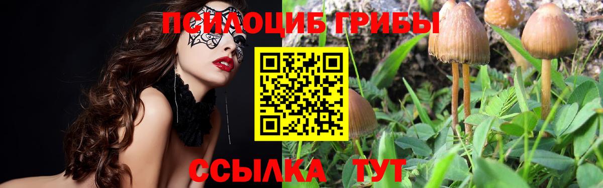 Сафоново  Псилоцибиновые грибы ЛСД  Галлюциногенные грибы ЛСД  Вход с VPN 